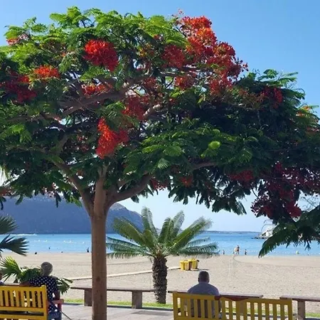 아파트 Fuer 3 Personen Ca 45 M In Cristianos, Teneriffa Westkueste Von Teneriffa *