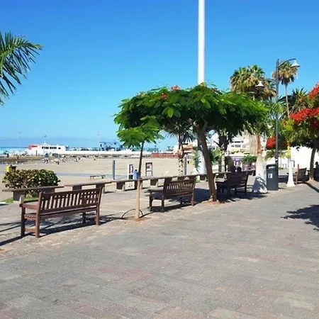 Fuer 3 Personen Ca 45 M In Cristianos, Teneriffa Westkueste Von Teneriffa * Los Cristianos